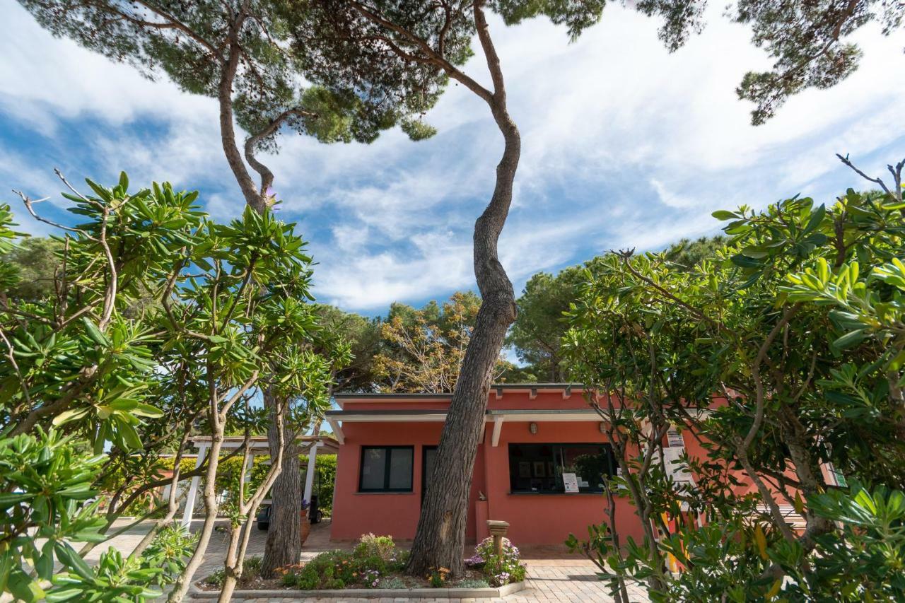 Camping Village Bocche D'albegna * Albinia